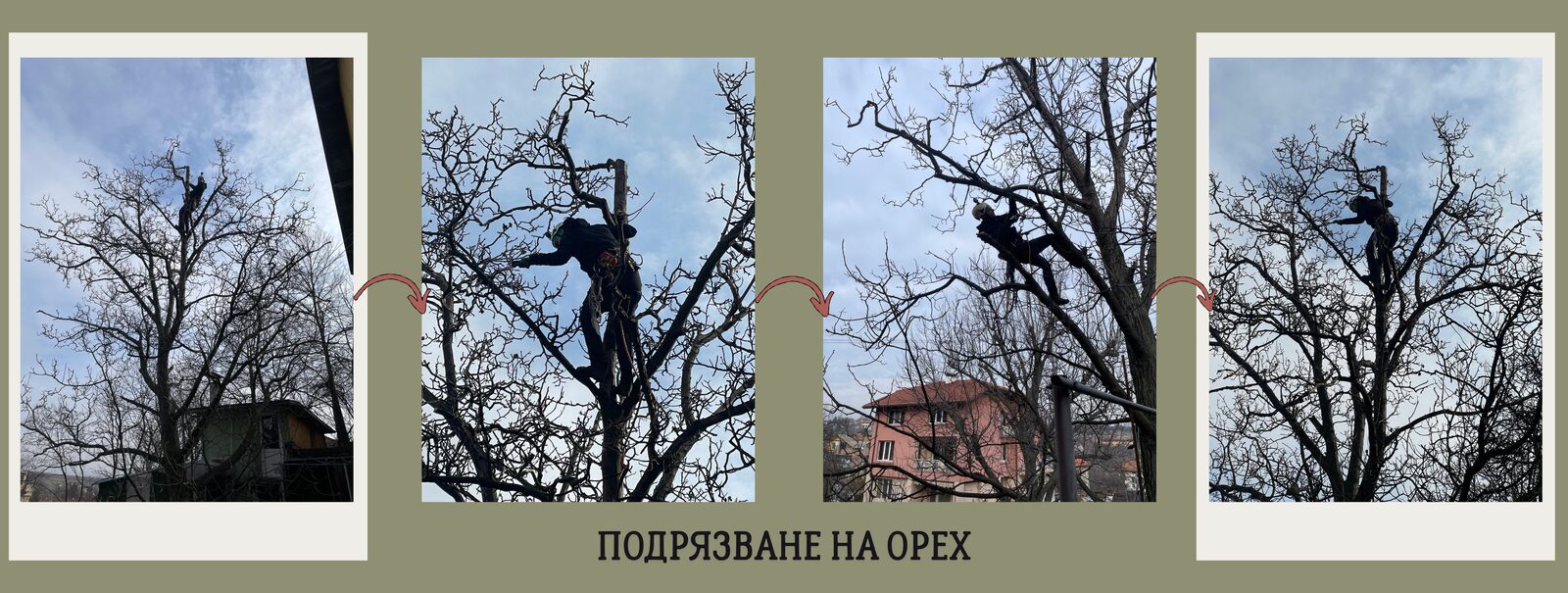 Рязане до сграда